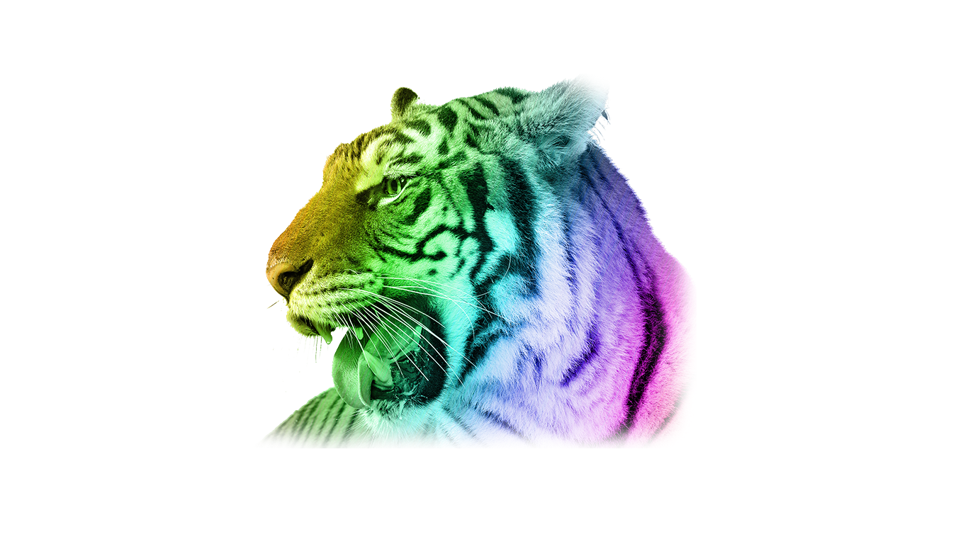 Dk Find Out Tiger - HD Wallpaper 