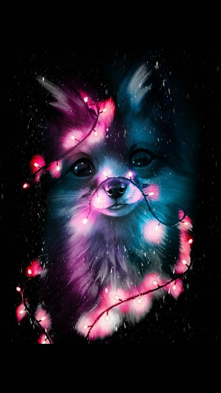 Cute Zedge - 720x1280 Wallpaper Cute Zedge - 720x1280 Wallpaper