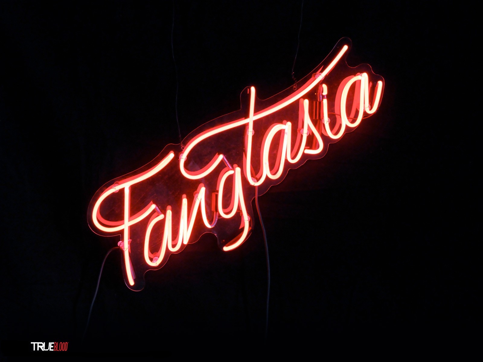 Wallpaper - True Blood Wallpaper Fangtasia - HD Wallpaper 