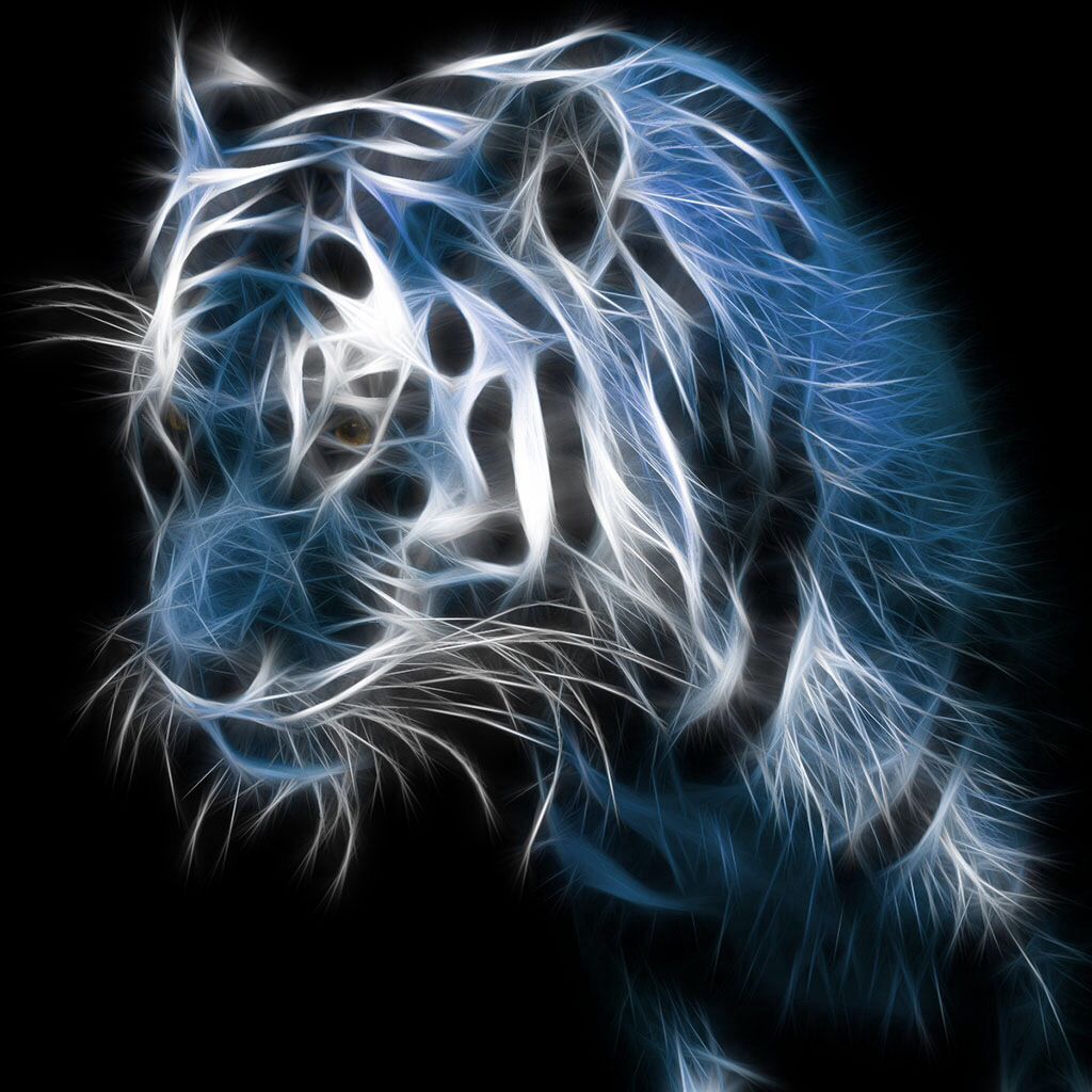 #32654p2 Neon Tiger Wallpaper - Download The Best Wallpaper For Android - HD Wallpaper 