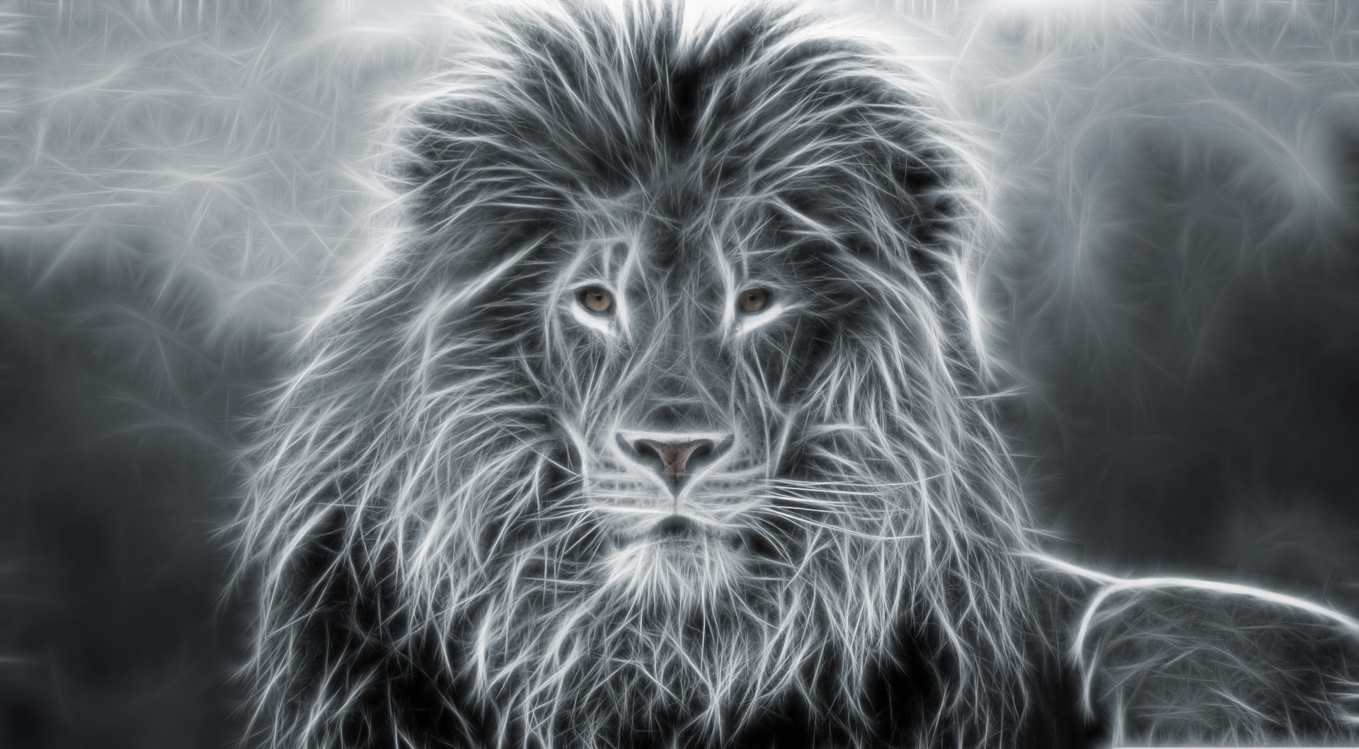 Lion Animal Wallpaper - Lion Art - HD Wallpaper 