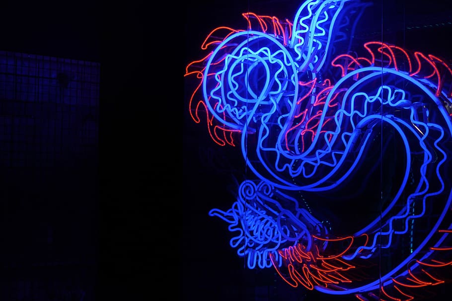 Blue And Red Wyrm Dragon Light Decor, Blue And Red - Neon Lights Neon Dragon - HD Wallpaper 