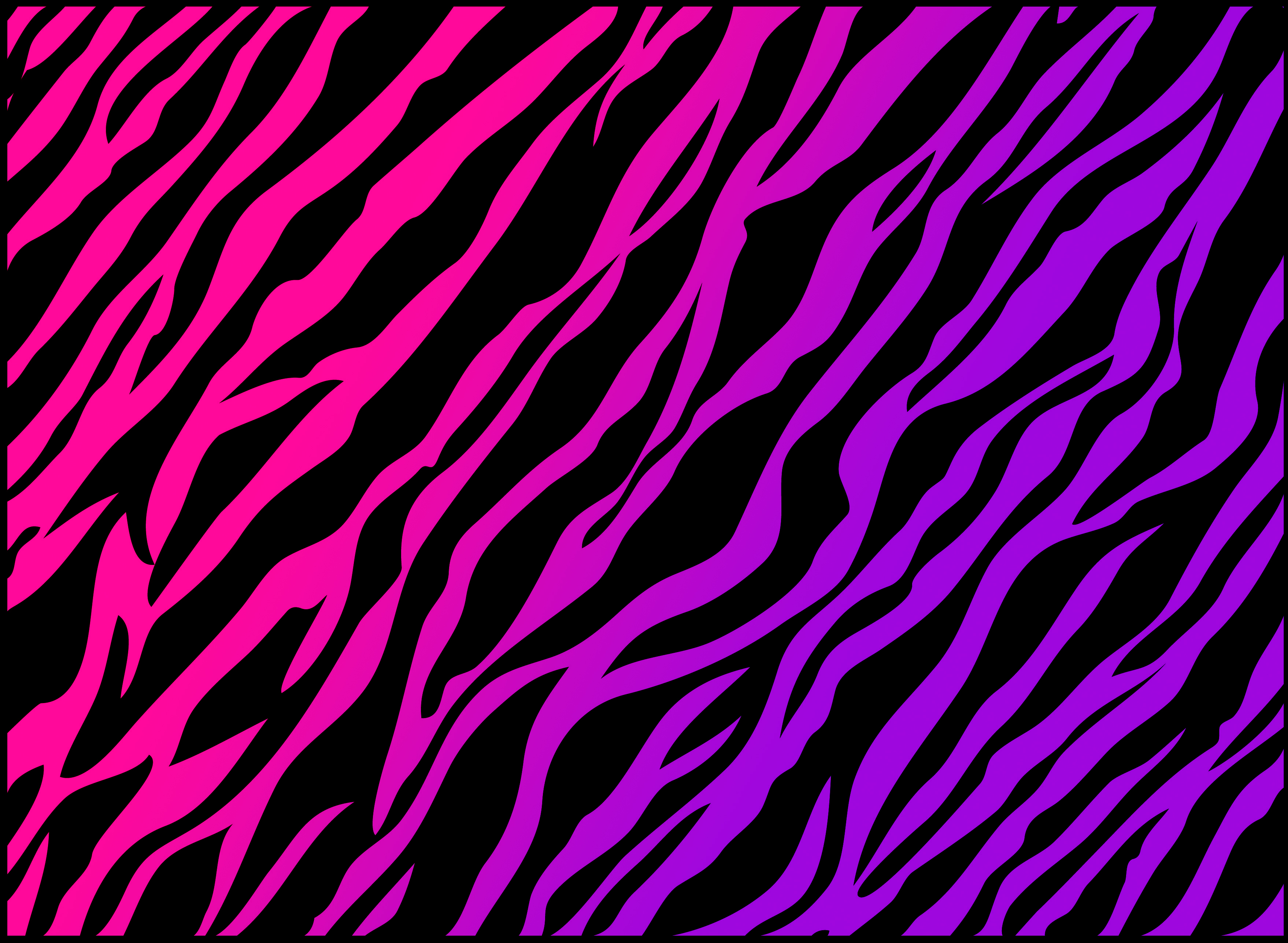 Leopard Print Wallpaper - Zebra Print Background - HD Wallpaper 