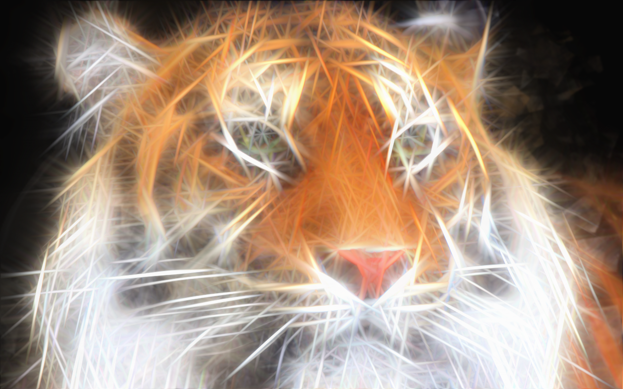 Neon Animal Wallpaper - HD Wallpaper 