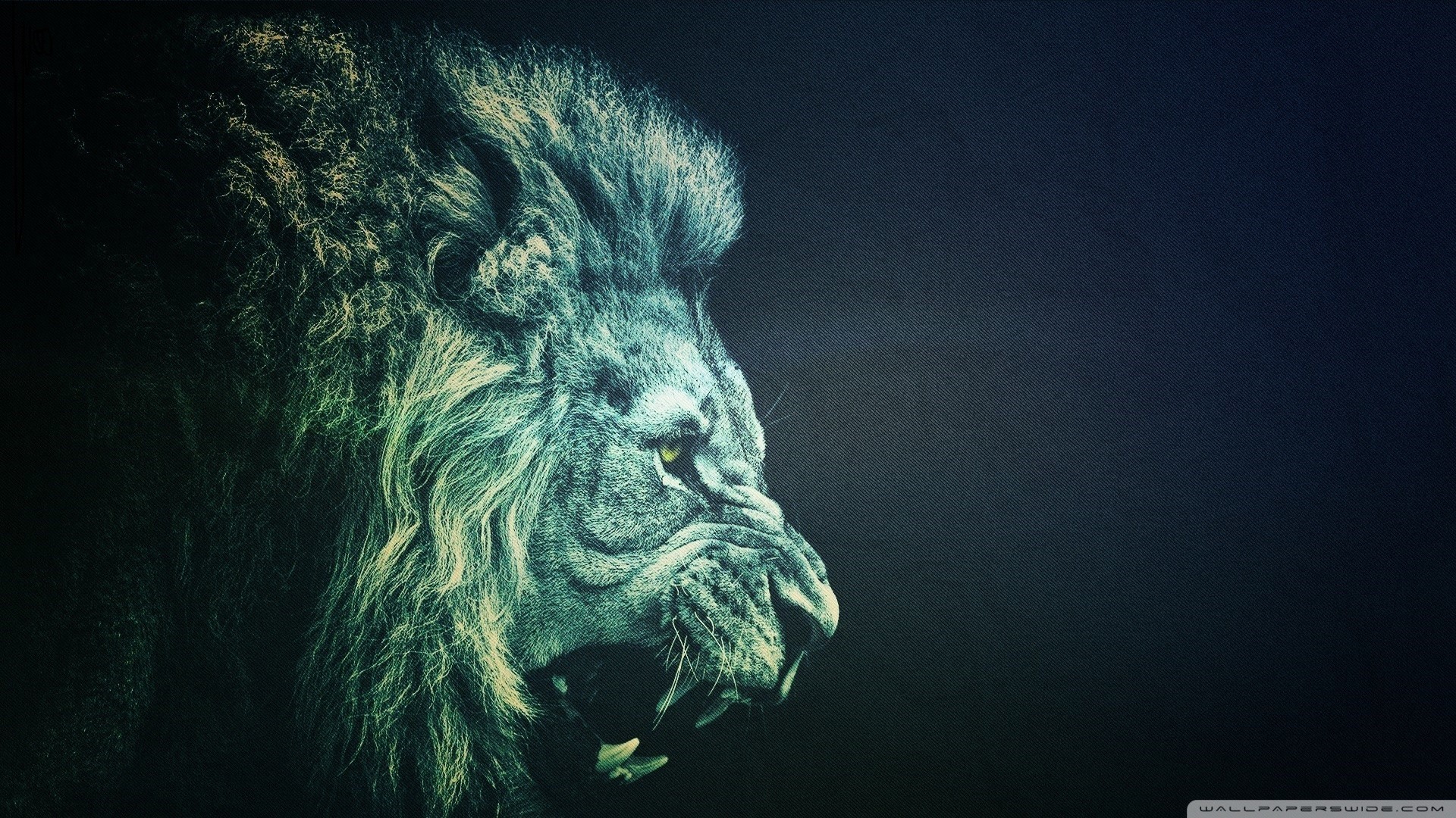Lion Wallpaper Full Hd 1080p Hj7 - Lion Wallpaper 4k Ultra Hd - 1920x1080 Wallpaper Lion Wallpaper Full Hd 1080p Hj7 - Lion Wallpaper 4k Ultra Hd - 1920x1080 Wallpaper