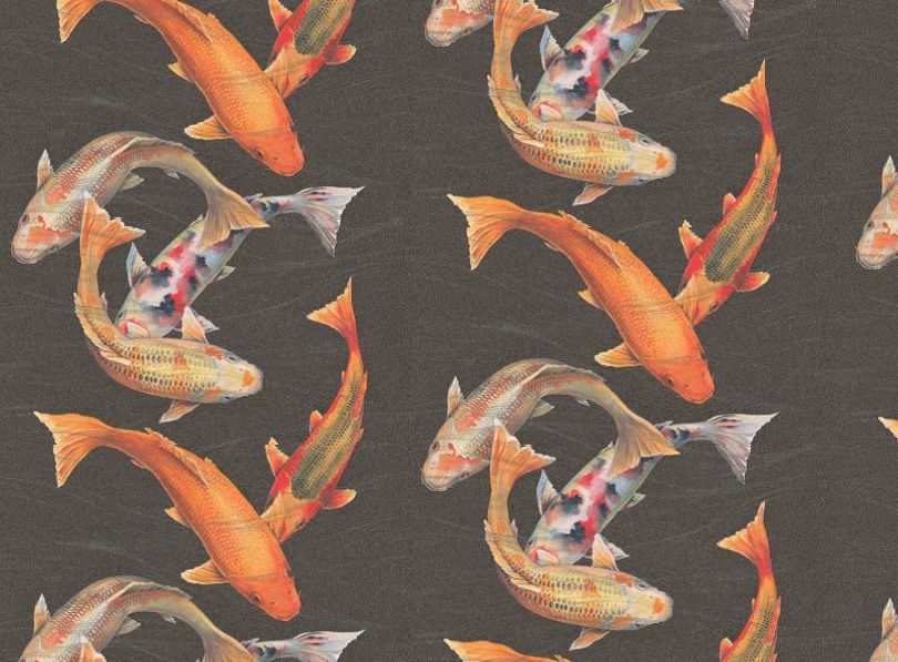 Koi Carp Wallpaper For Walls - 810x597 Wallpaper - teahub.io