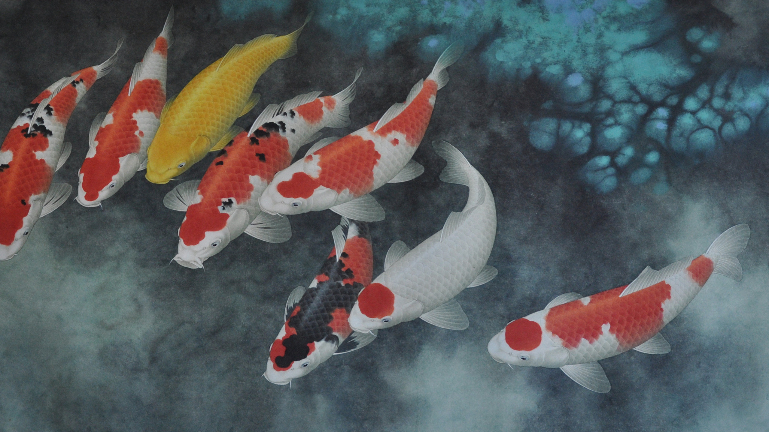 Chinese Painting, Koi, Fish, Boxun Zhao, Koi Coy Fish - Koi Fish - HD Wallpaper 