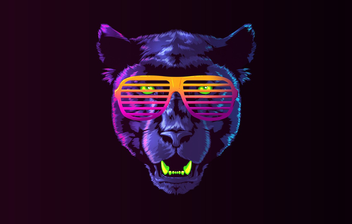 Photo Wallpaper Color, Minimalism, Music, Cat, Retro, - Cool Panther - HD Wallpaper 