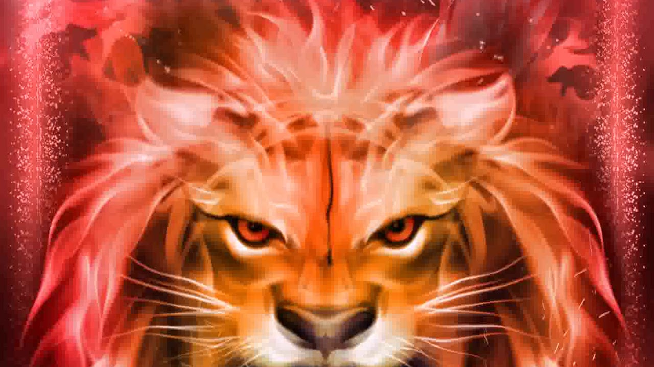 Head Of Fire Lion - HD Wallpaper 