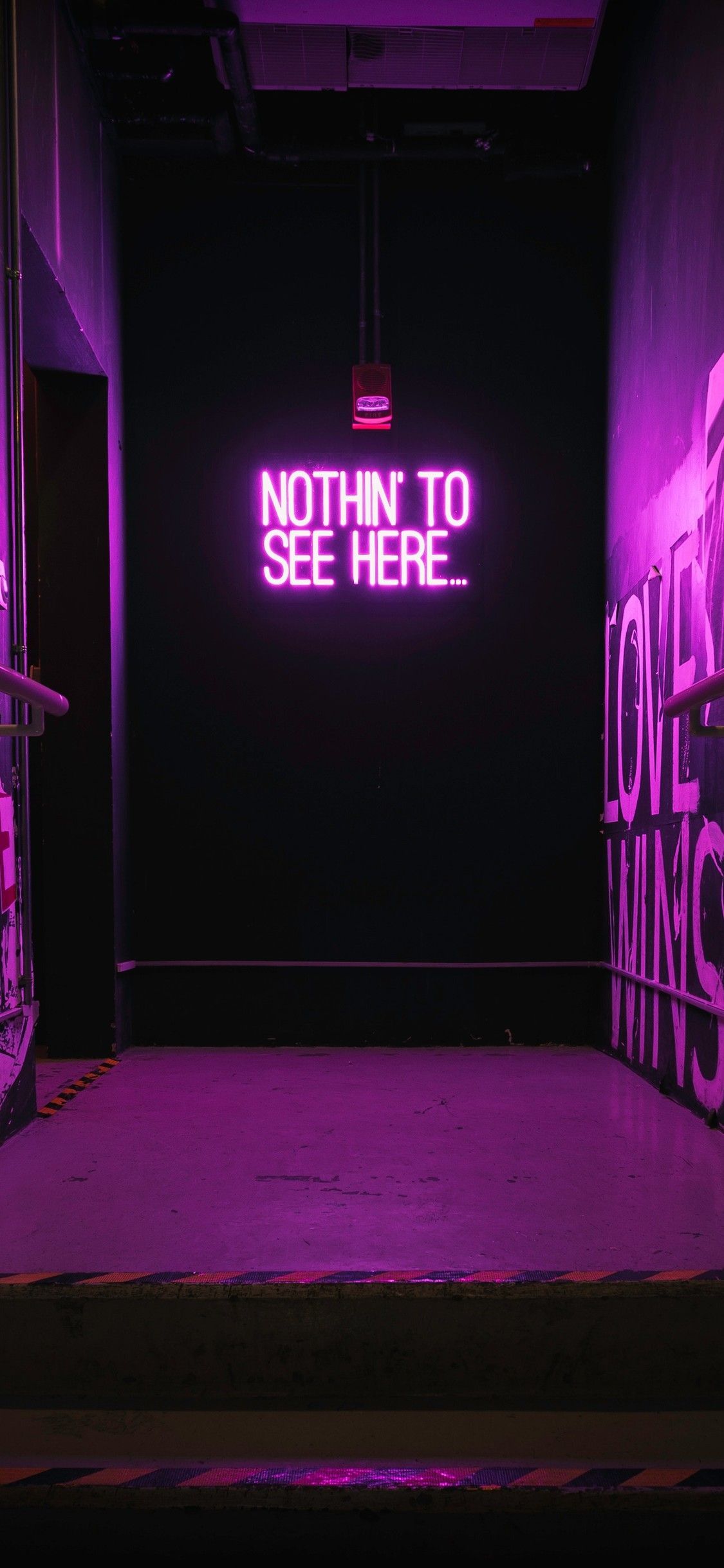 Neon Purple - HD Wallpaper 