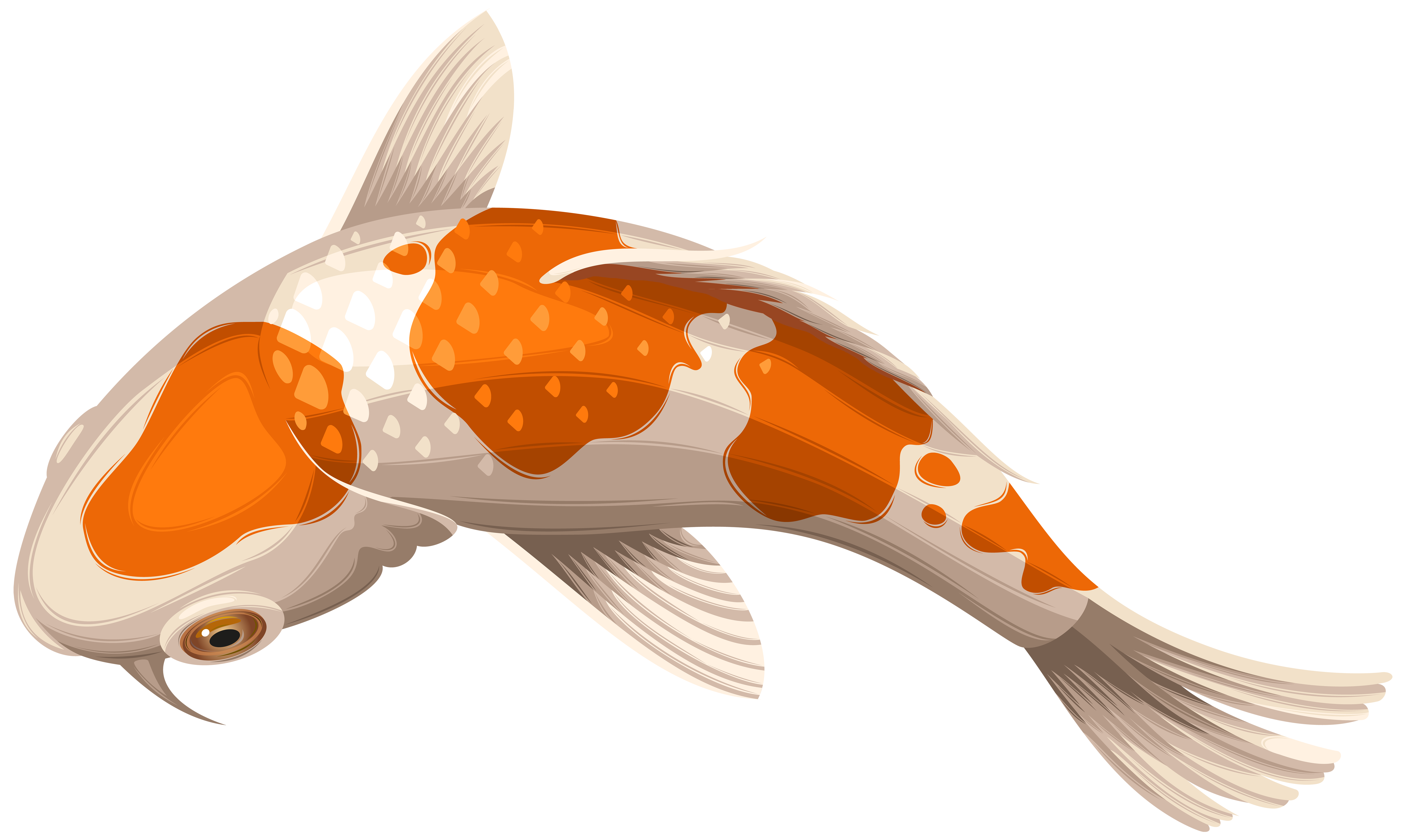 Koi Fish Transparent Background - HD Wallpaper 