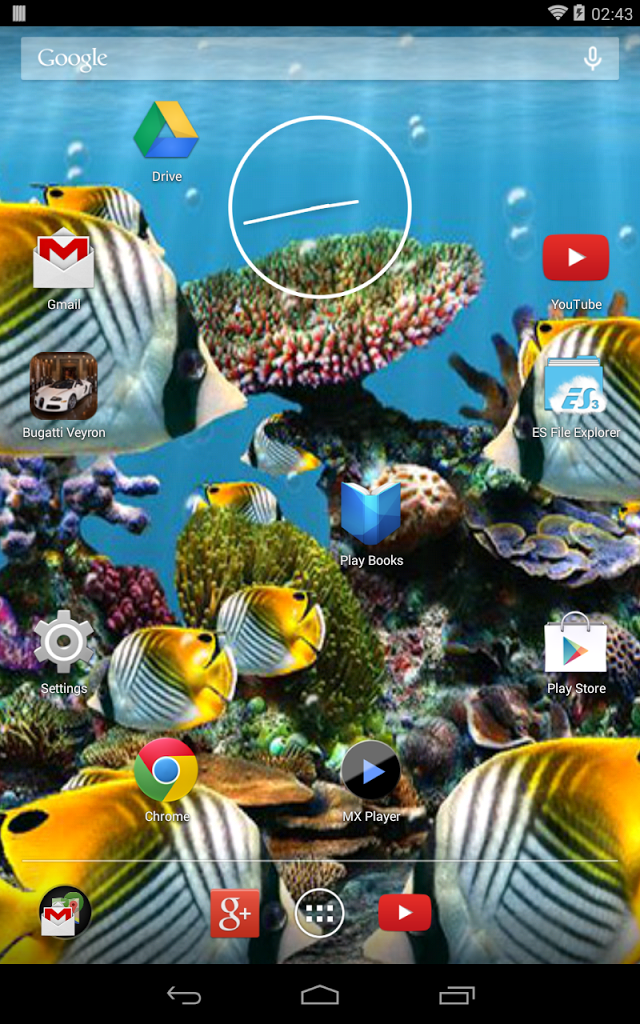 Fish - HD Wallpaper 