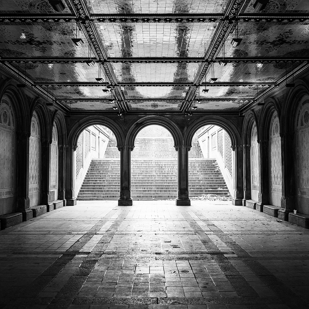 Central Park New York February 1024x1024 Wallpaper teahub.io