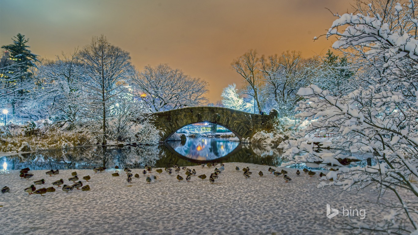 New York Gapstow Bridge Central Park-2016 Bing Desktop - Fonds D Écran New York Central Parc - HD Wallpaper 