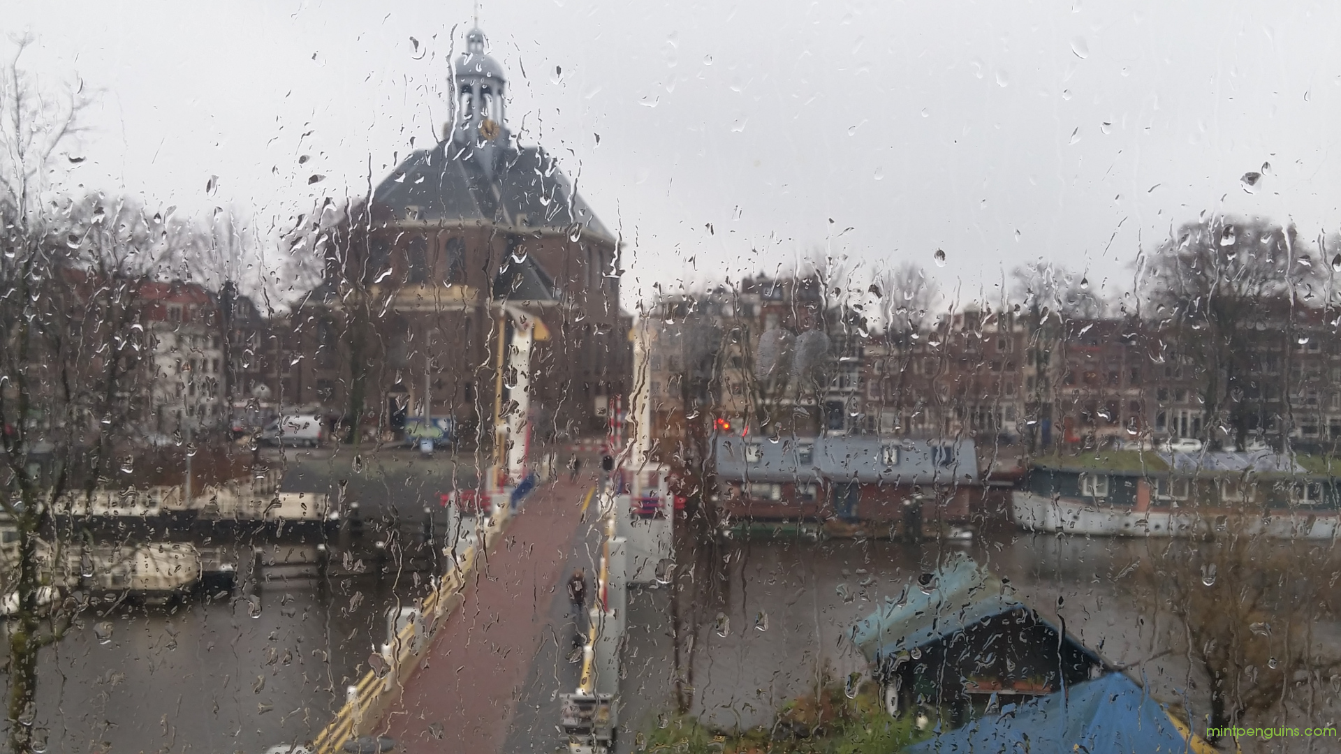 Reflection - HD Wallpaper 