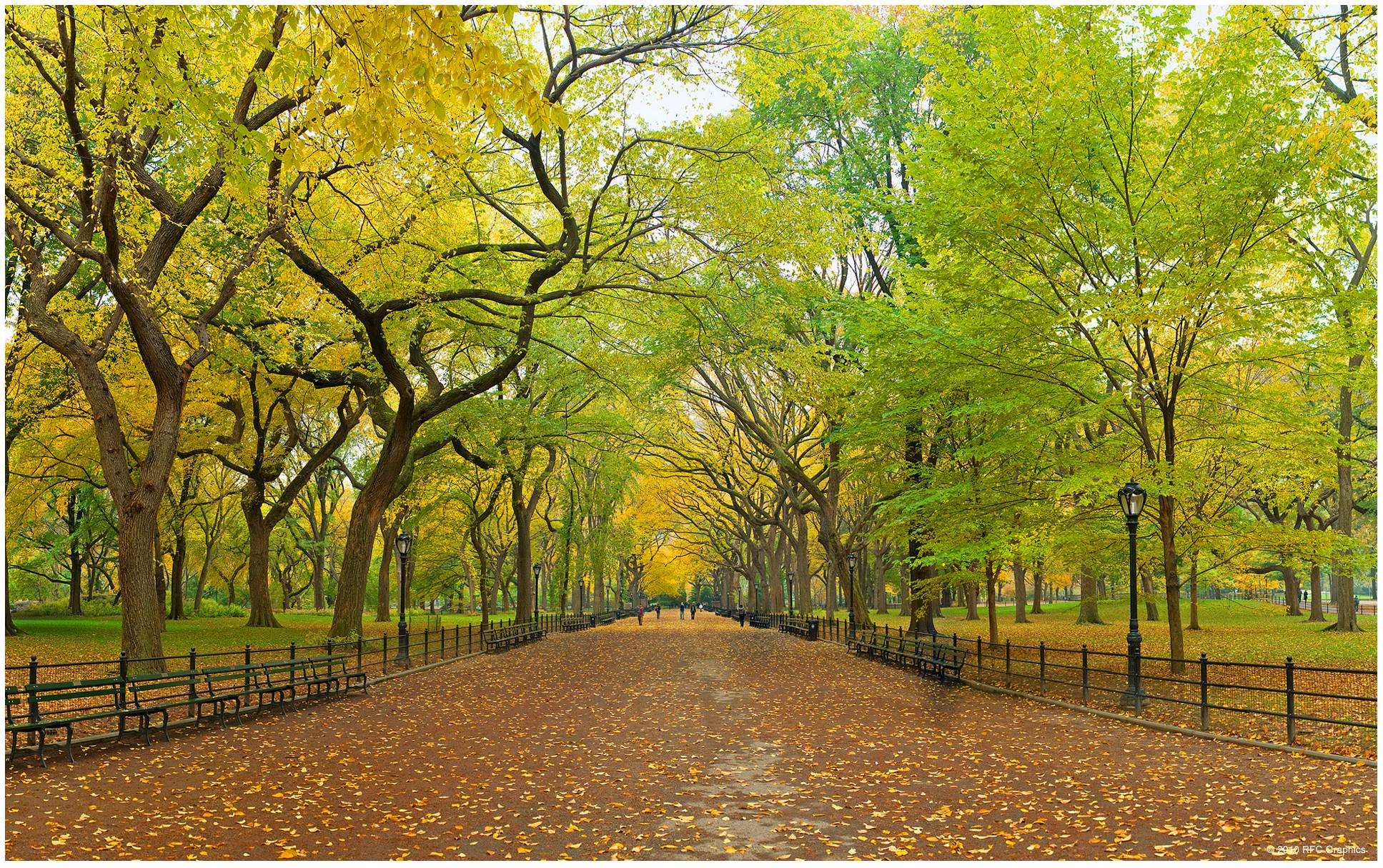 Images For > Central Park Wallpaper 
 Data Src Friends - Central Park Desktop Background - HD Wallpaper 