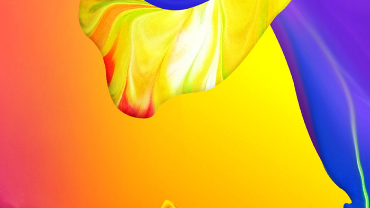 Close-up - HD Wallpaper 