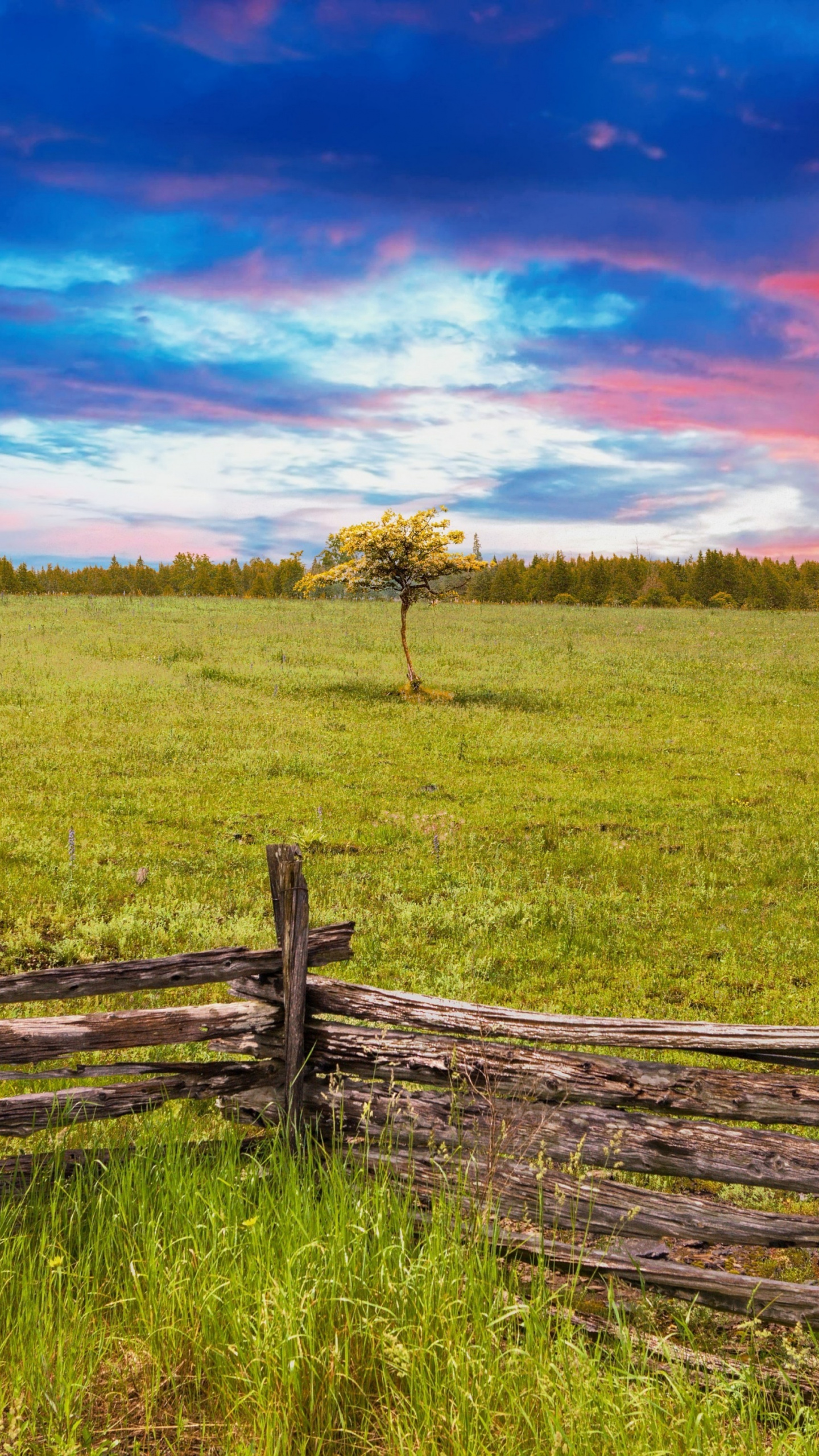 Wooden Fence, Landscape, Tree, Skyline, Nature, Wallpaper - Imagenes De Paisajes De La Agricultura - HD Wallpaper 