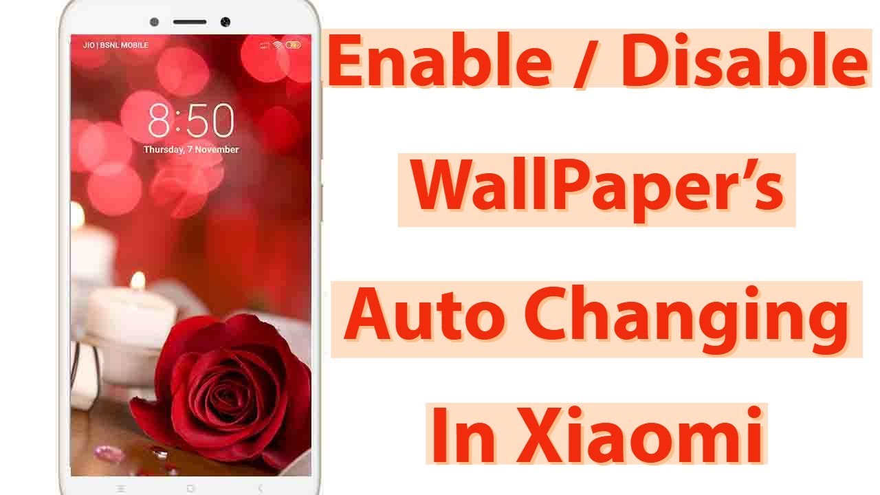 Garden Roses - HD Wallpaper 