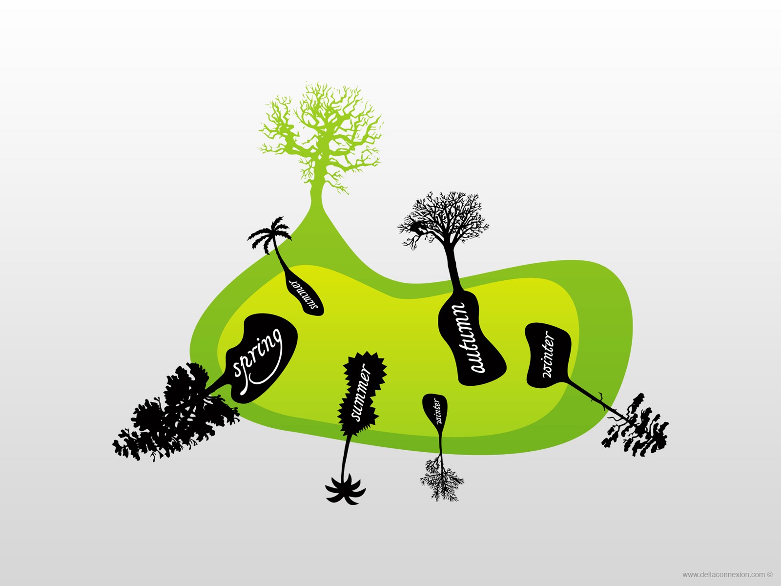 Wallpaper - HD Wallpaper 