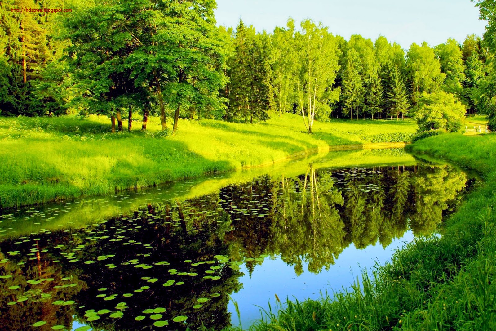 Beautiful Scenery Of River - HD Wallpaper 