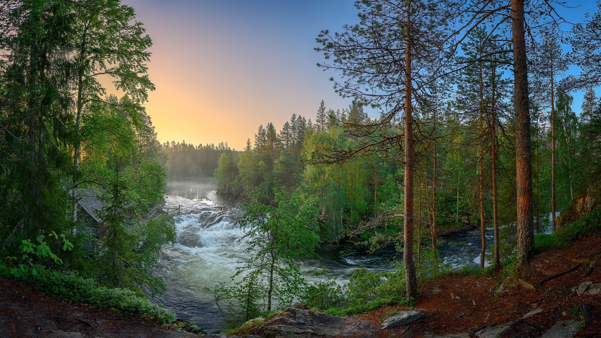 Wallpaper Finland, Forest, Trees, River, Nature Landscape - Finland Forest - HD Wallpaper 