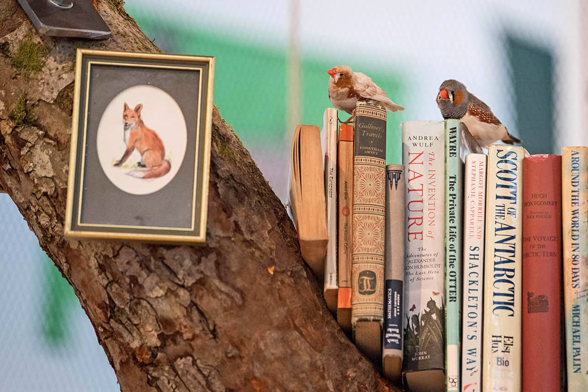 News London - Library For The Birds Of London - HD Wallpaper 