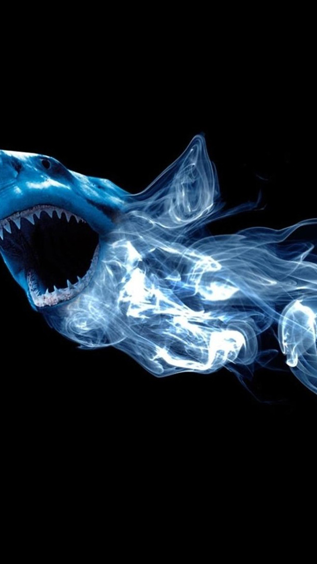 Best Cool Wallpapers Animals - HD Wallpaper 