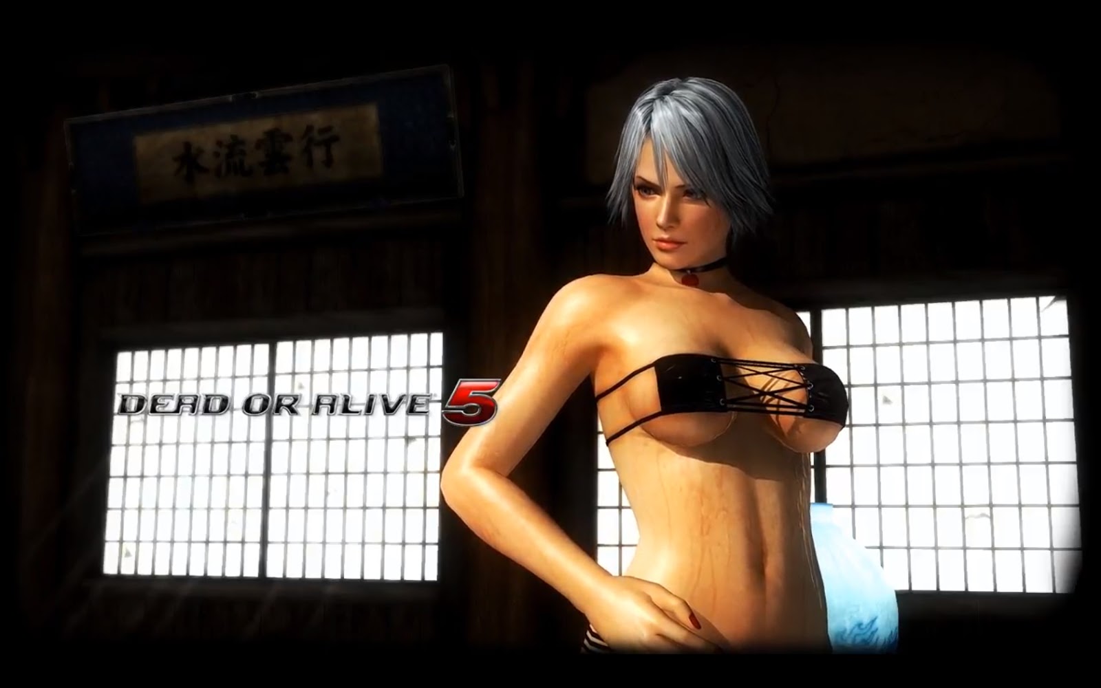 Dead Or Alive 5 Christie 03 Wallpaper Engine - Girl - HD Wallpaper 