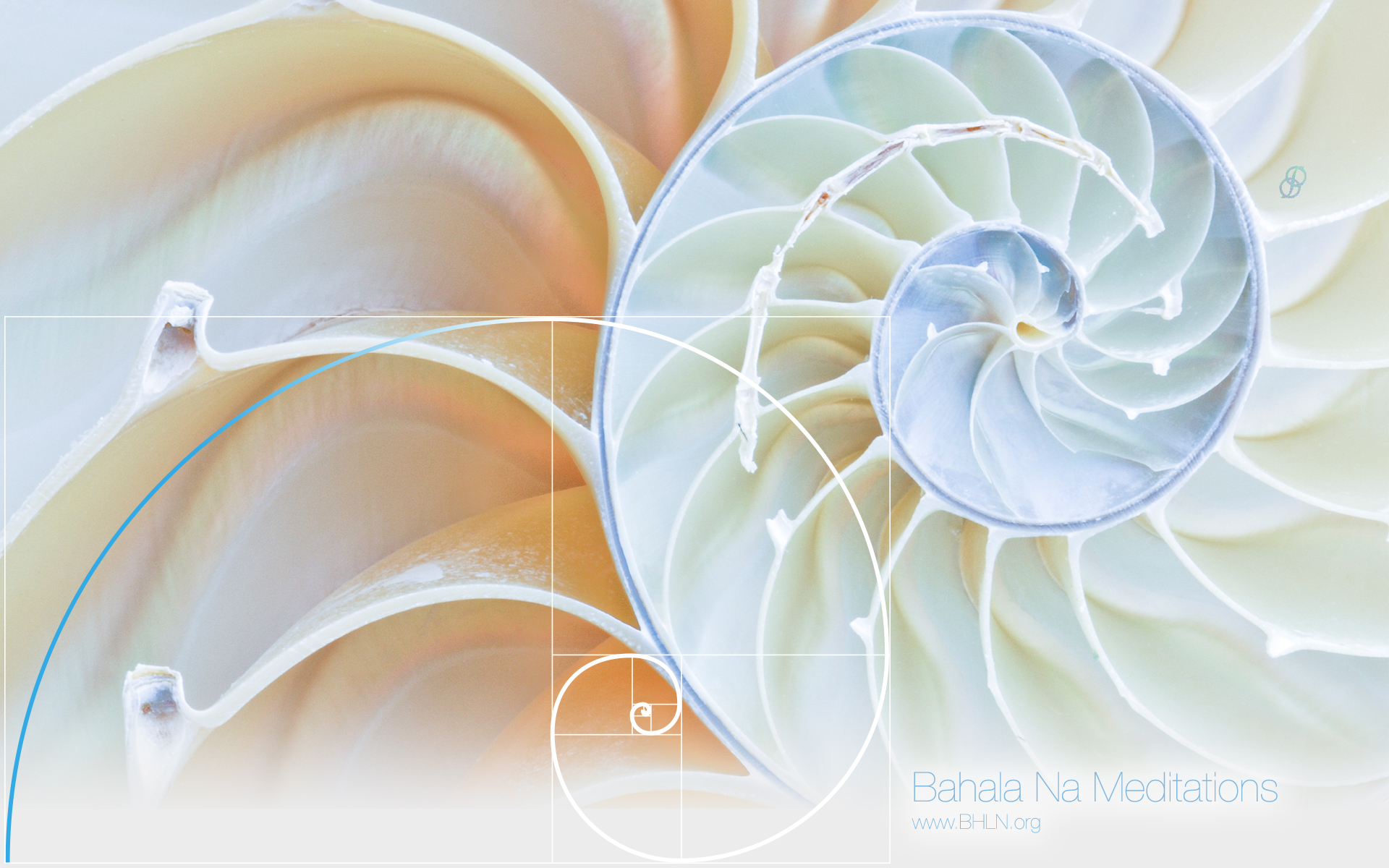 Wallpaper Closet Door Wardrobes Covering Mirrored Wardrobe - Screen Door - HD Wallpaper 