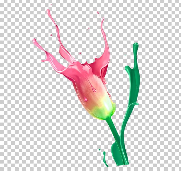 Nail Polish Png, Clipart, Computer Wallpaper, Cosmetics, - Fifa Club World Cup Badge Png - HD Wallpaper 