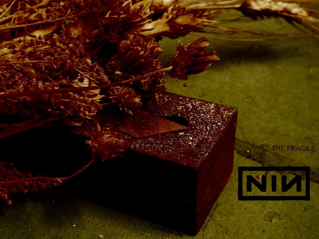 Nine Inch Nails Wallpaper - Nine Inch Nails Wallpaper Fragile - HD Wallpaper 
