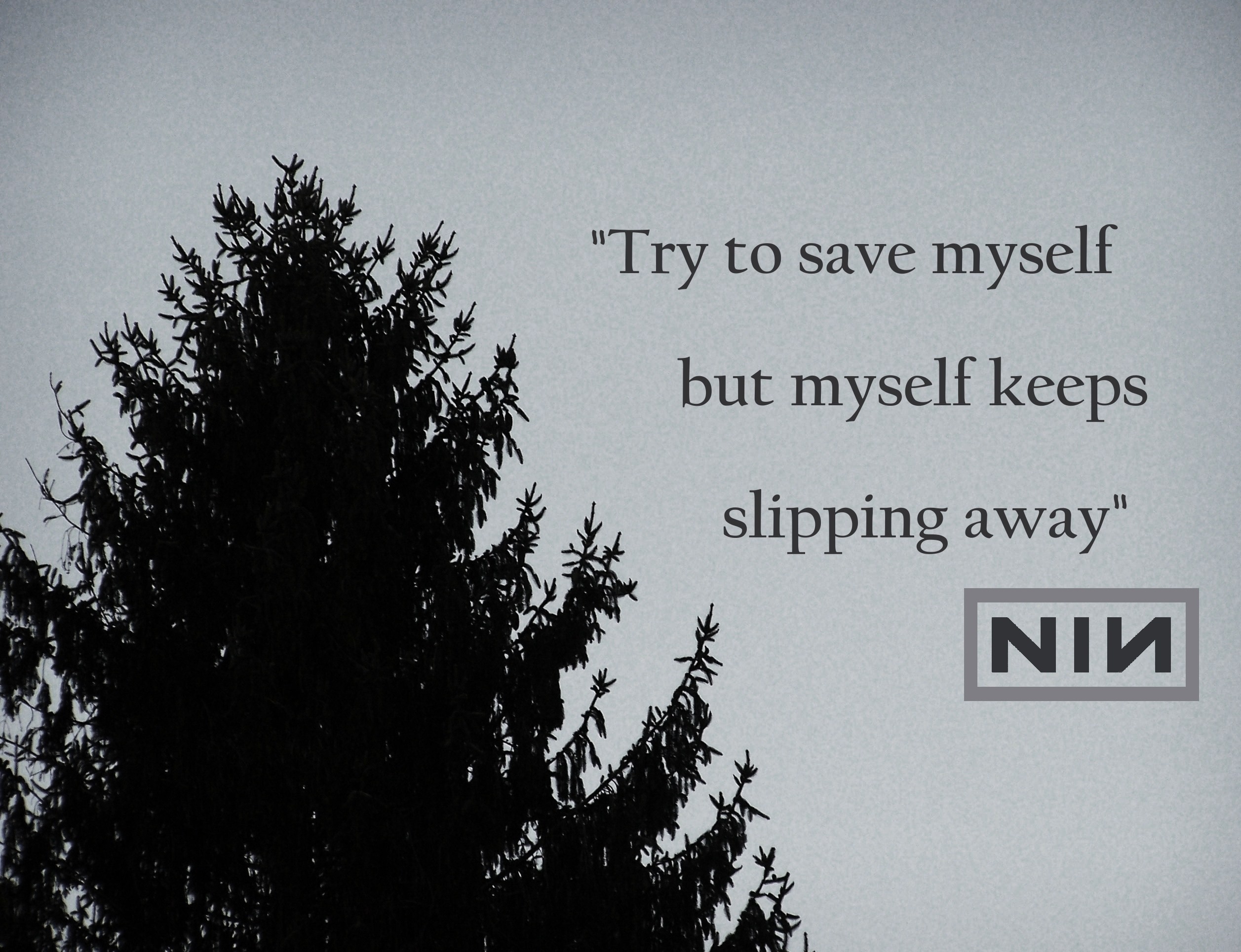 Nine Inch Nails - Nine Inch Nails Song Quotes - HD Wallpaper 