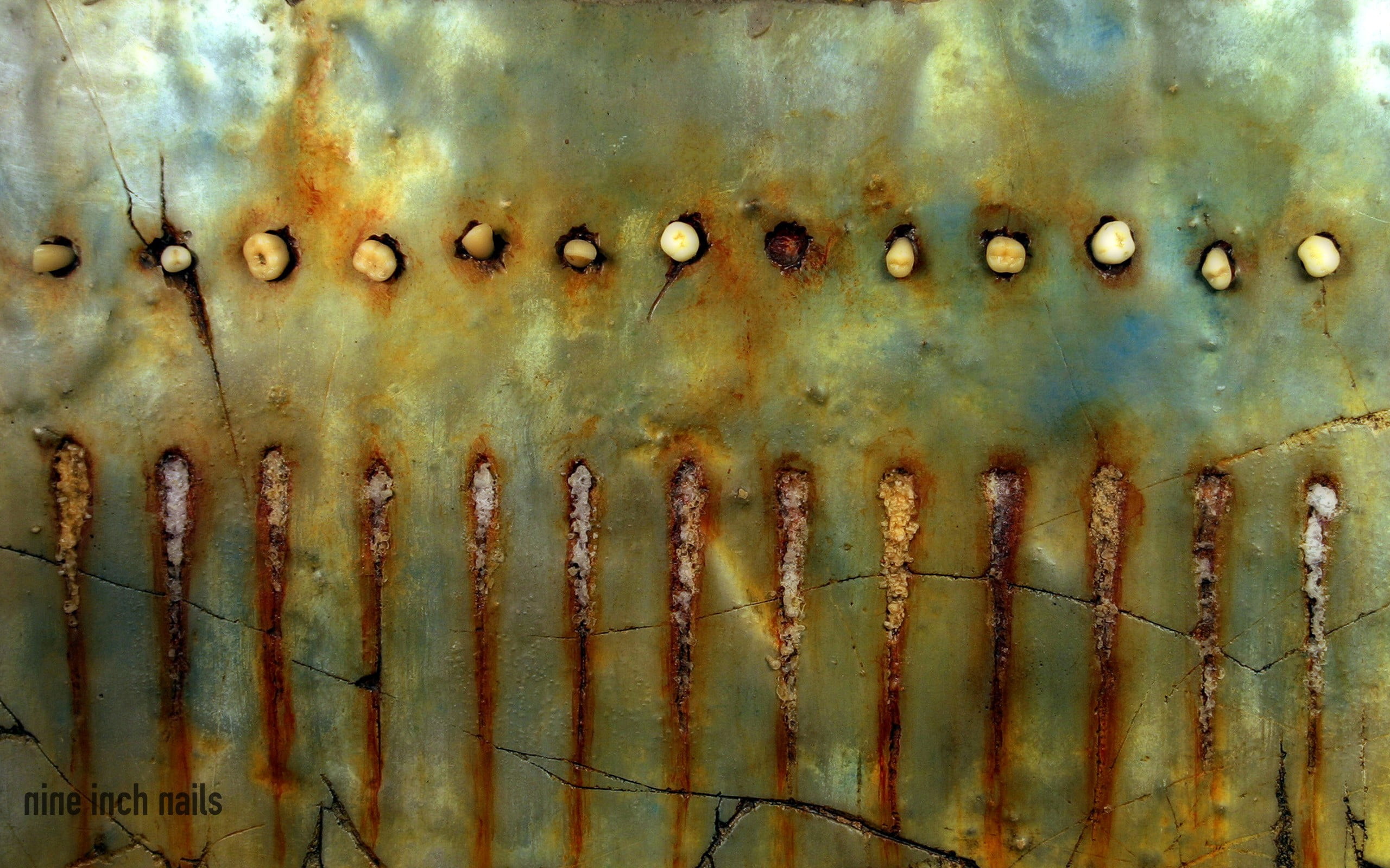 Nin Wallpaper - HD Wallpaper 