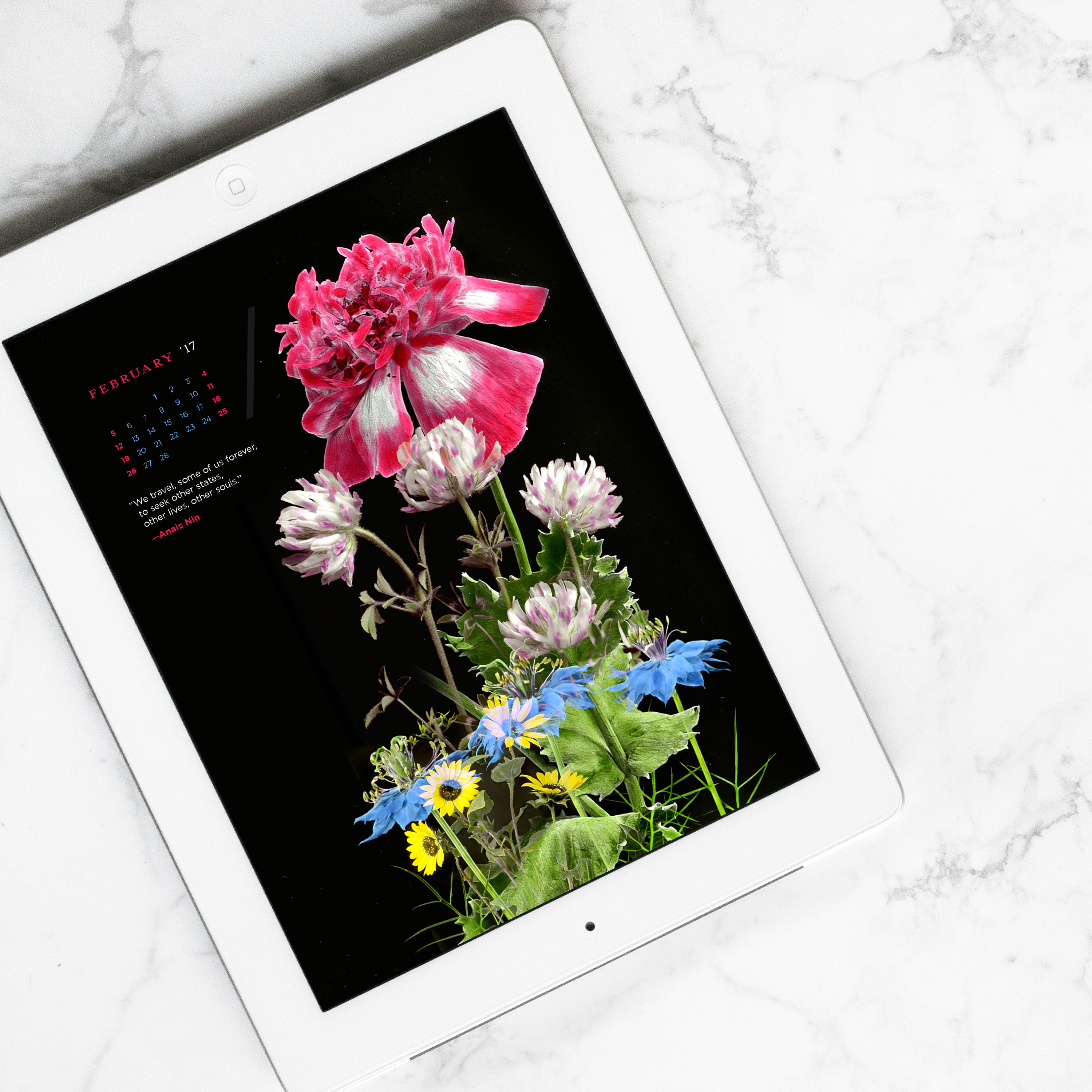 Artificial Flower - HD Wallpaper 