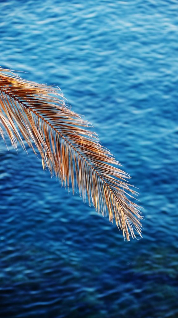 Blur Wallpaper Background - HD Wallpaper 