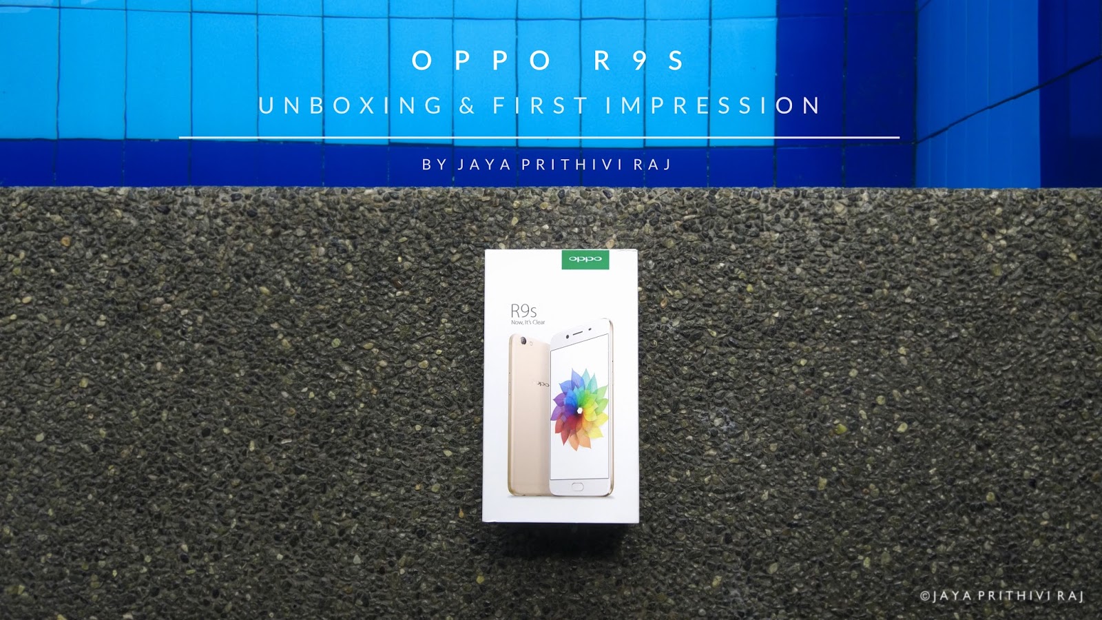 Pansy - HD Wallpaper 