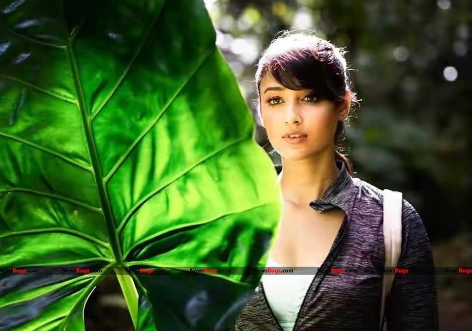 Photo Shoot - HD Wallpaper 