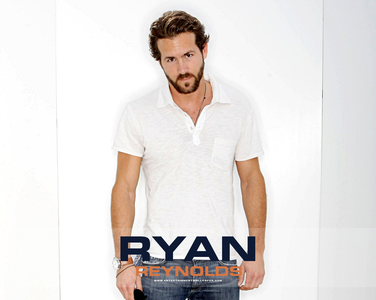 Ileana D Cruz - HD Wallpaper 