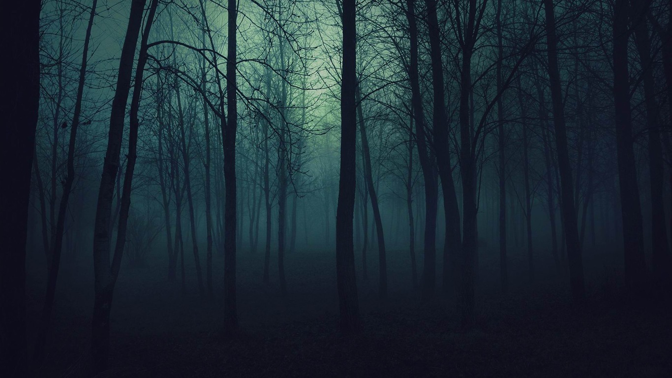 Dark Forest-beautiful Natural Scenery Wallpaper2013 - Scary Forest Background - HD Wallpaper 