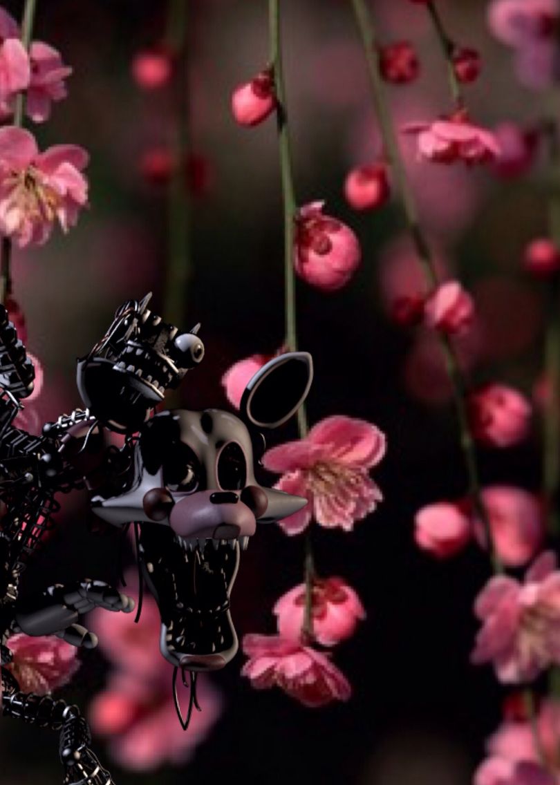 Iphone 4 Wallpaper Flower - HD Wallpaper 