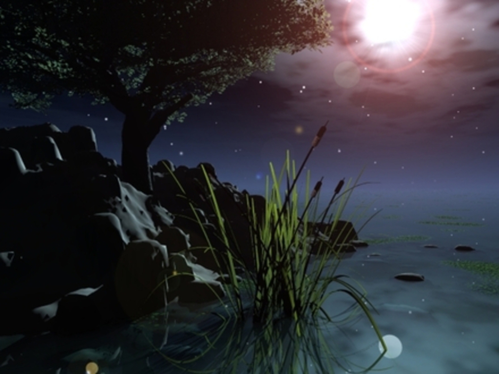 Summer Night Sky - Summer Night - HD Wallpaper 