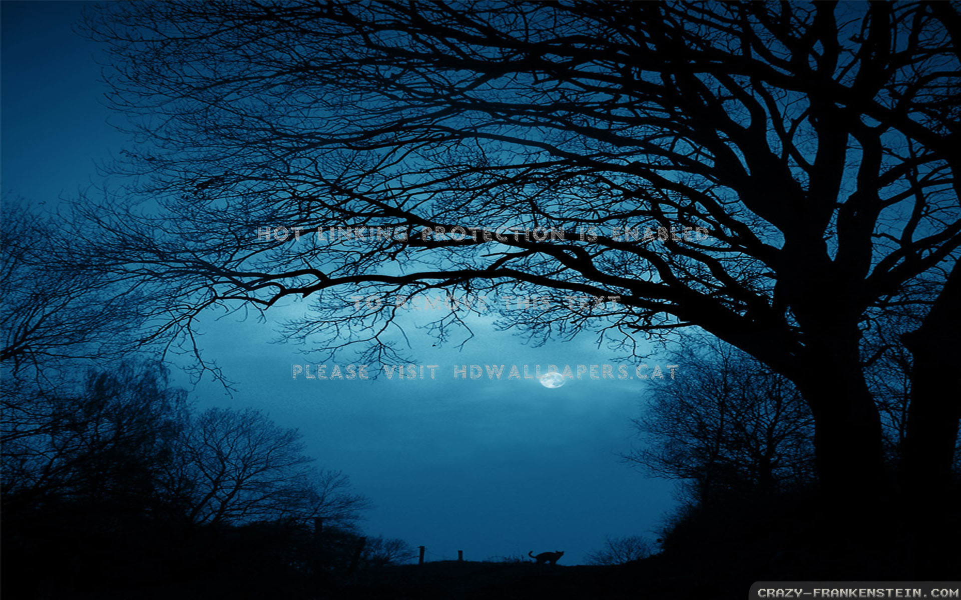 Summer Night Clouds Trees Sky Blue Moon Ll Be There Moon Quote 19x10 Wallpaper Teahub Io