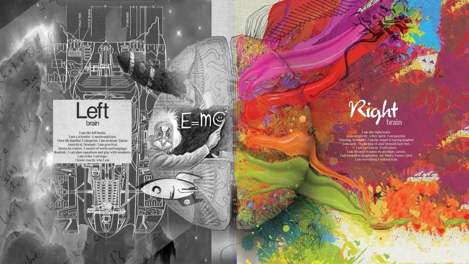 Funny Chive Wallpaper - Left Brain Right Brain Einstein - 1600x900 Wallpaper Funny Chive Wallpaper - Left Brain Right Brain Einstein - 1600x900 Wallpaper