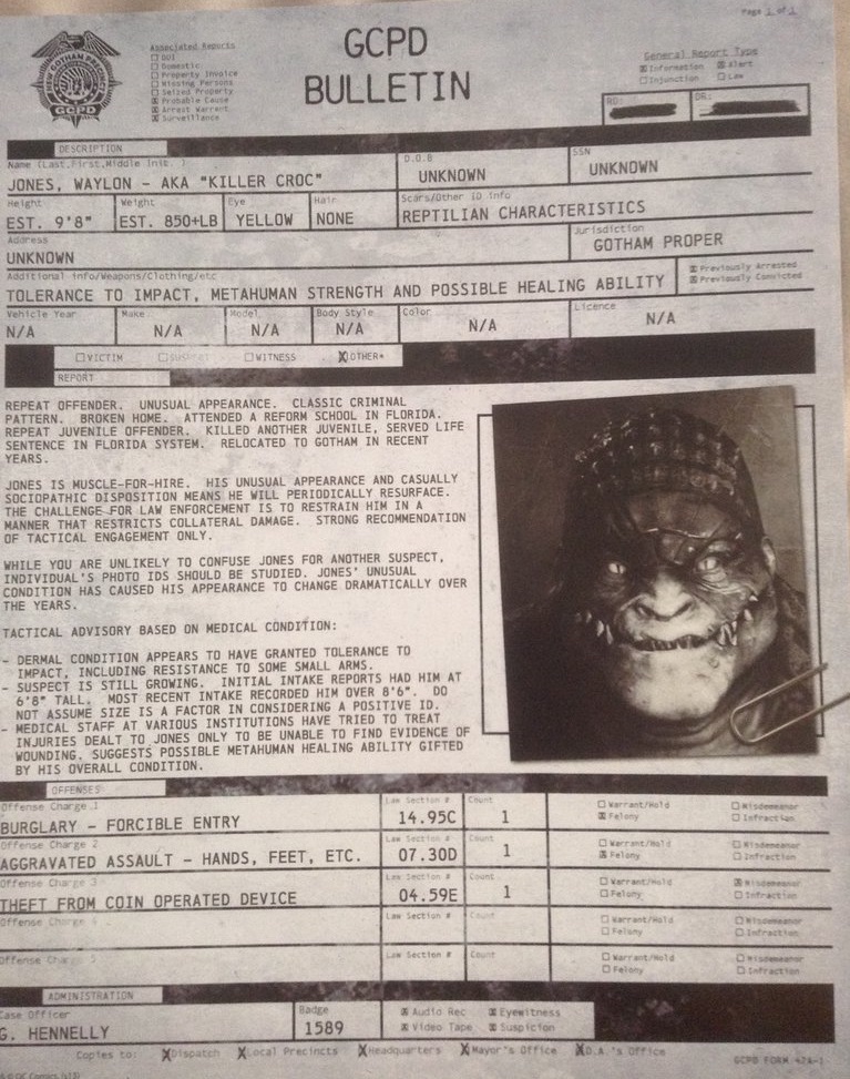 Arkham Origins Bio Sheet - HD Wallpaper 