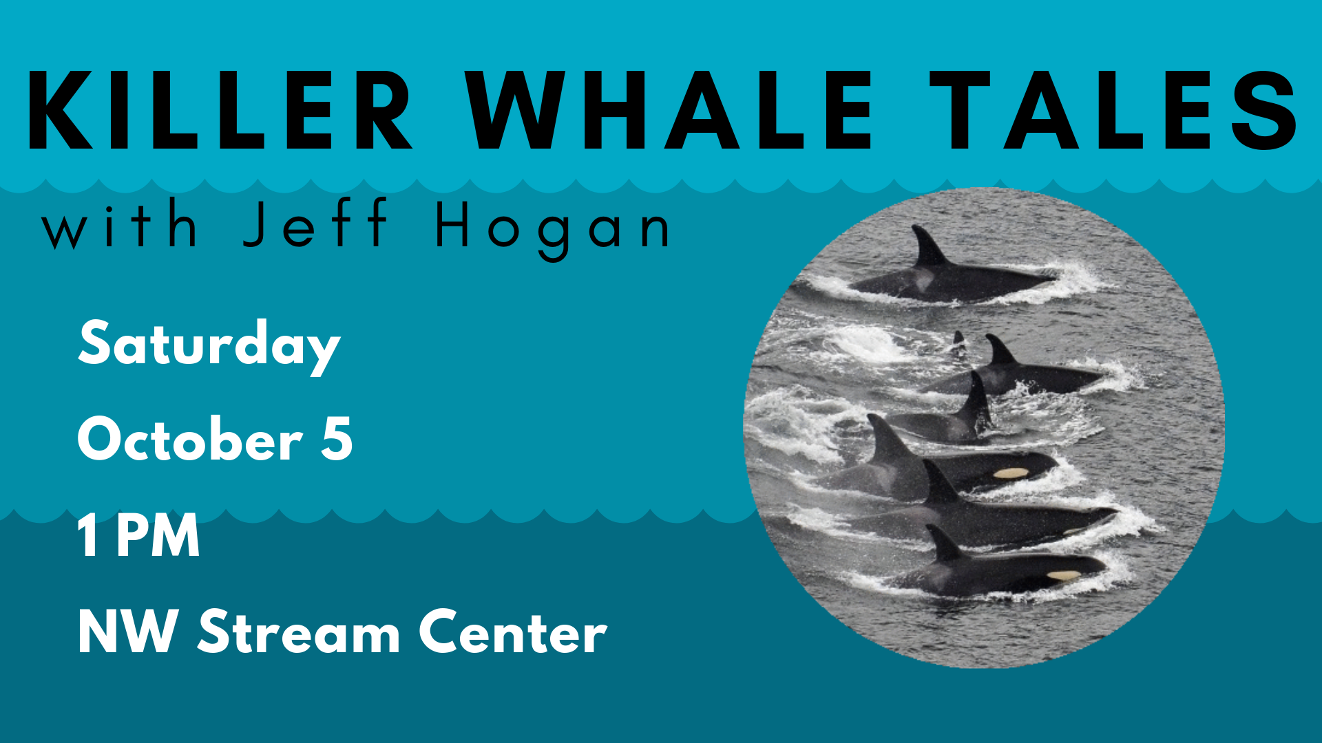 La Pod Orca - HD Wallpaper 