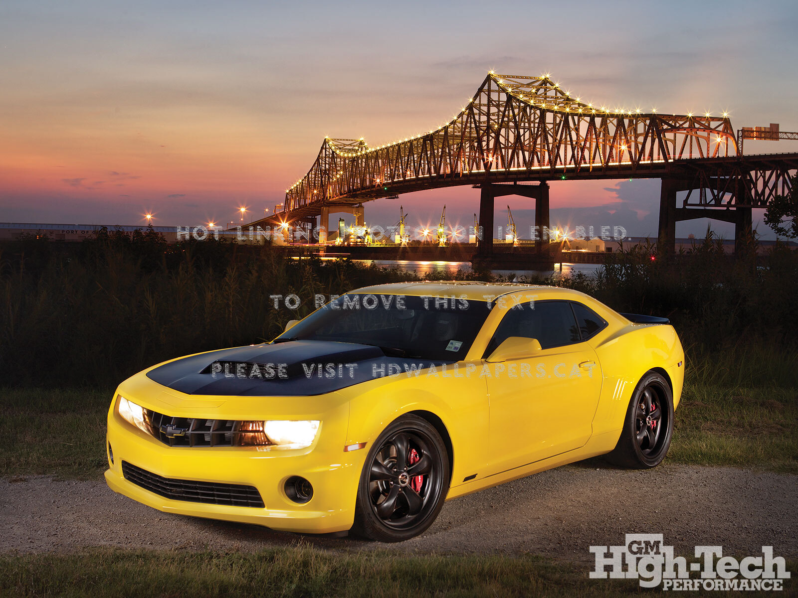 Killer Bee Black Hood Yellow Gm Bowtie Cars - Chevrolet Camaro - HD Wallpaper 