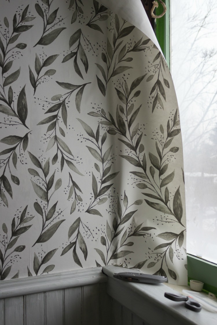 Olive Branch - HD Wallpaper 