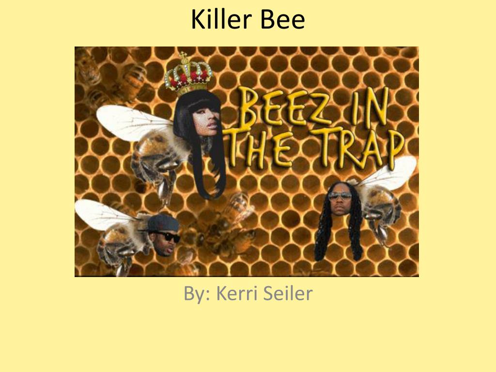 Beehive - HD Wallpaper 