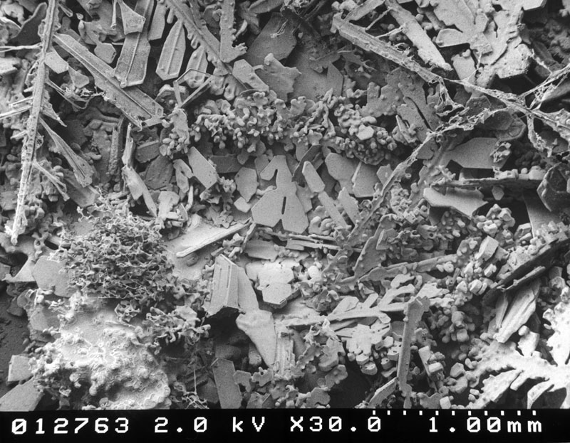 Microscopic Snow Crystals - Snow Microscope - HD Wallpaper 